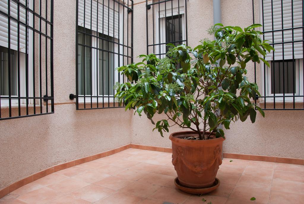 Hotel Hidalgo Quijada Alcazar de San Juan Ngoại thất bức ảnh